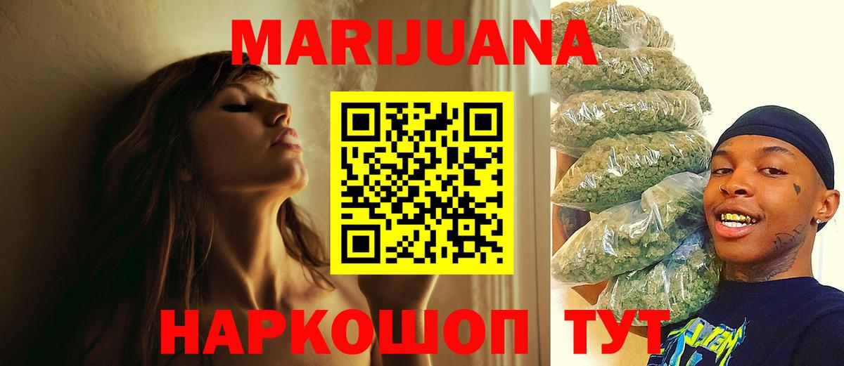 Конопля гибрид Алейск